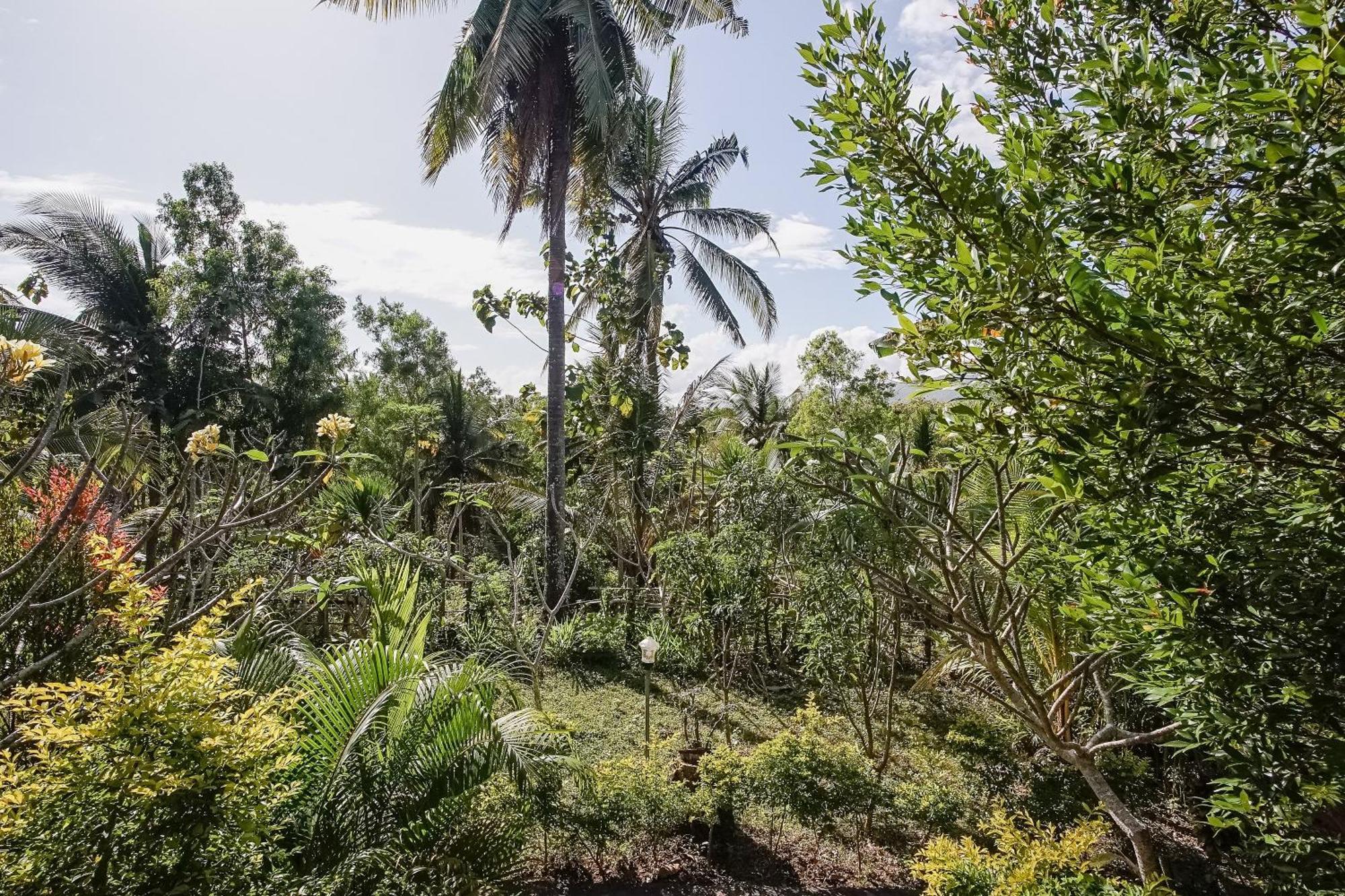 Penida Lapaya Bungalows Nusa Penida Sakti Exteriör bild